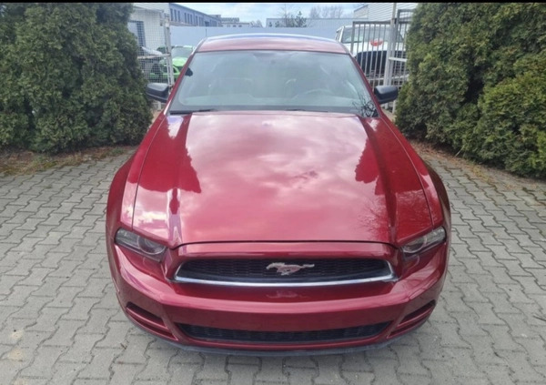 Ford Mustang cena 56800 przebieg: 177900, rok produkcji 2014 z Drobin małe 79